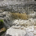 panagia-2020-03-24 03