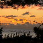 panagia-2020-03-24 10